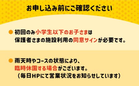 ゴーカート30分体験 吉野ヶ里/e-ビークルパーク GOカート 乗り物 のりもの レジャー アウトドア 遊び  [FCS001]