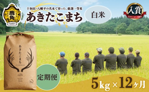 【 定期便 】あきたこまち 白米 5kg × 12ヶ月 合計 60kg 【トライズ】 ●2026年10月下旬発送開始 令和8年産 米 精米 白米 単一原料米 国産米 ブランド米 白米 もっちり 県産米 お米 こめ コメ 秋田県 あきた 鹿角市 鹿角 送料無料