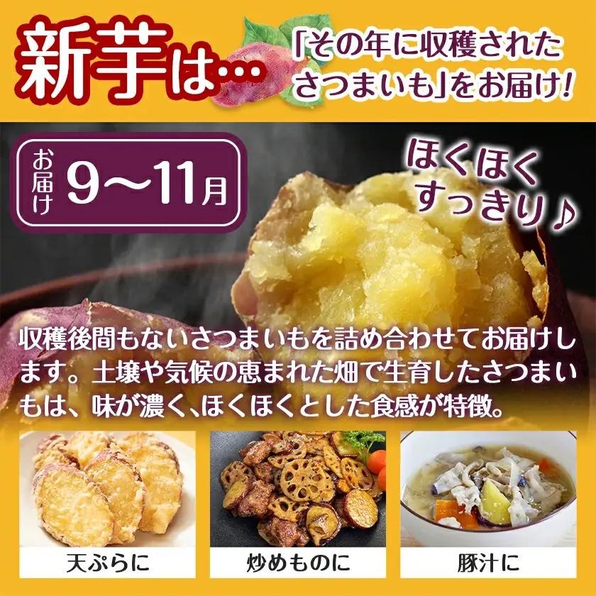 【新芋】芋名人が認めるさつまいも『洗い済み　紅はるか』5.2kg Lサイズ ※9月～11月頃順次発送〔LE-L702-N〕_(都城市) 宮崎県都城産 紅はるか Lサイズ