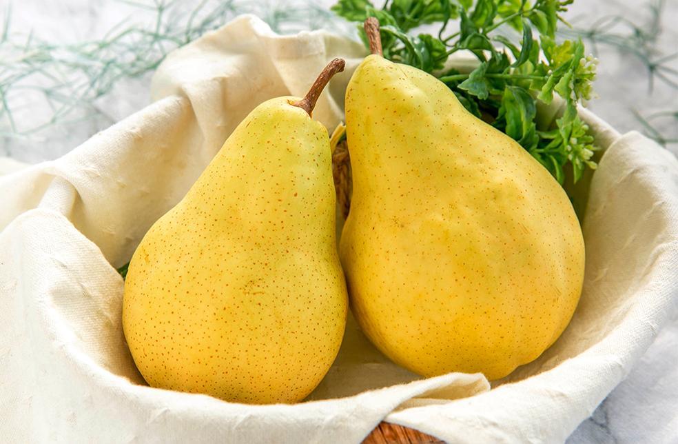 【2024年先行予約】新潟県産 ル・レクチェ 約2kg 幻の洋梨《11月下旬～順次発送》