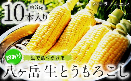 【訳アリ】 八ヶ岳 生とうもろこし はねだし 10本 約3kg 【2026年7月中旬～発送】| 訳あり とうもろこし 生 トウモロコシ 野菜 新鮮 極上 信州 八ヶ岳 長野県 諏訪郡 原村