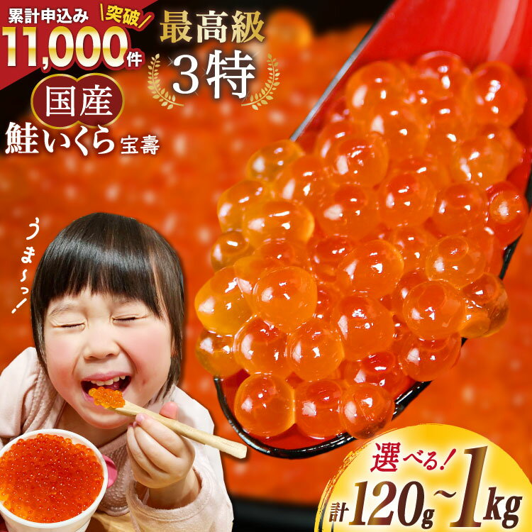 【TVで紹介！】最高級3特 国産 味付 いくら 宝壽 醤油漬 120g×1パック / かわむら家 / 宮城県 気仙沼市 [20561821] イクラ 海鮮 魚介類 醤油 ふるさと納税 ふるさとのうぜい ふるさと