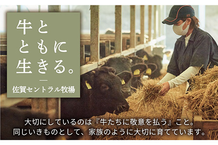 【牧場直送】佐賀県産しろいし牛 万能切落し 1kg（500g×2パック） 【有限会社佐賀セントラル牧場】 [IAH005]