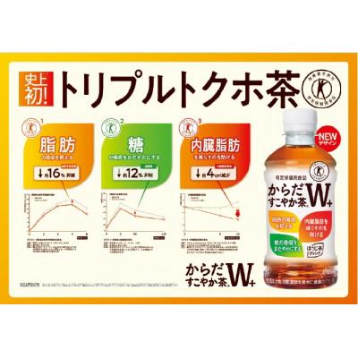 ふるさと納税 佐賀県 からだすこやか茶W+350mlペット(24本入り)2ケース合計48本
