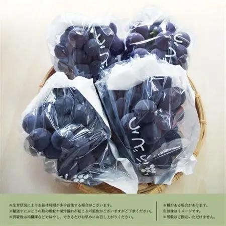 紀州和歌山産ピオーネ　約2kg【日高町】【配送不可地域：離島・北海道・沖縄県】【1217236】