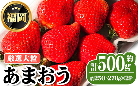 ＜先行予約受付中・数量限定＞2027年2月上旬から順次お届け！厳選大粒あまおう(計約500g・約250～270g×2P) 苺 いちご イチゴ フルーツ 果物 くだもの 手作り スイーツ 冷蔵 ＜離島配