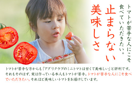 ミニトマト 約2kg 氷川アグリクラブ トマト 熊本《2月上旬-4月末頃出荷》熊本県 氷川町 野菜 熊本県産 サラダ プチトマト 国産