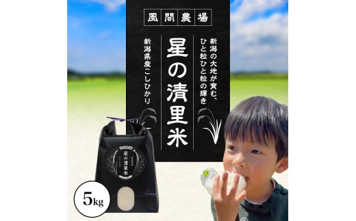 先行予約 令和8年 新潟県上越市産 従来 コシヒカリ 精米済 5kg 5キロ こしひかり お米 米 精米 送料無料