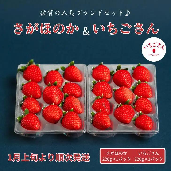2027年発送！数量限定！佐賀県産いちご さがほのか&いちごさんセット イチゴ 苺：B100-039