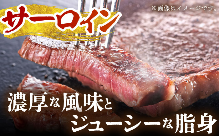 【全12回定期便】佐賀牛 ステーキ食べくらべセット（赤身・サーロイン・ヒレ）総計5.6kg 【がばいフーズ】 [HCS117]
