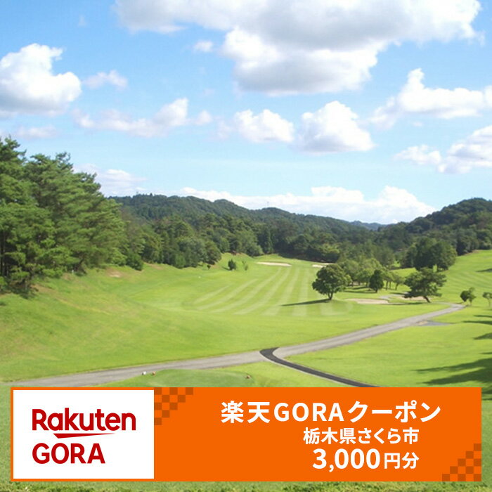【ふるさと納税】栃木県 さくら市の対象ゴルフ場で使える楽天GORAクーポン 寄付額10,000円(クーポン3,000円)