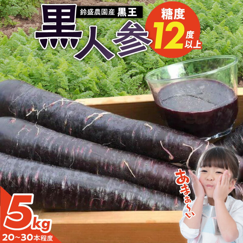 【ふるさと納税】【期間限定】 黒人参 黒王 5kg にんじん 甘い 抗酸化力 塩農法 カラフルにんじん 高糖度 スーパーフード 栄養 生でも食べやすい ブラックキャロット サラダ 華やか 苦みが少ない ジュース 野菜 農作物 鈴盛農園 愛知県 碧南市 送料無料
