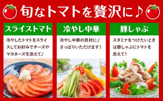 【先行予約】トマト ぜいたくトマト 約1.5kg 小箱 栃木県 野木町産 矢畑むらづくり組合 《2025年10月上旬-2026年5月末頃出荷》栃木県 野木町 トマト 野菜 新鮮