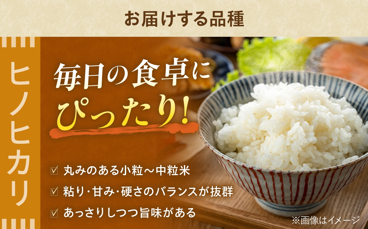 米 棚田米 令和8年産