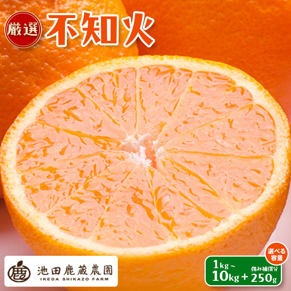 【ふるさと納税】【選べる容量】先行予約 厳選 不知火 1～10kg+250g（傷み補償分）［デコポンと同品種・人気の春みかん］［IKE253］ | 有田川町 不知火 厳選 柑橘 人気 おすすめ フルーツ 果物 甘味 柑橘類 送料無料 ふるさと納税