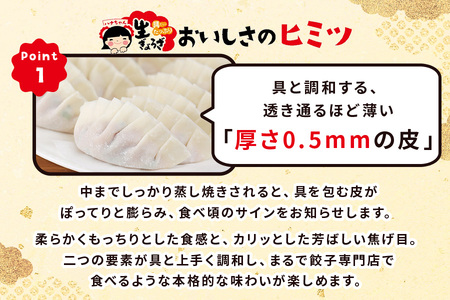 ハナちゃん生ぎょうざ 冷凍餃子 60個セット [0093]