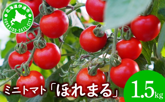 ミニトマト ほれまる 1.5kg