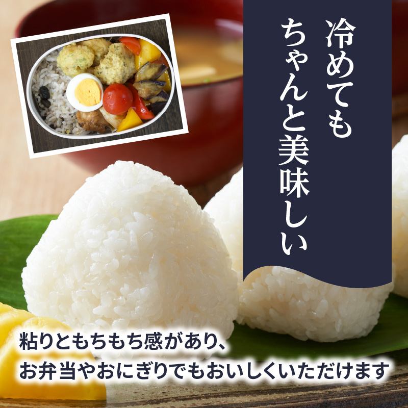 九州・福岡からお届け！ブランド米「元気つくし」定期便 10kg(5㎏×2)【全6回】 お米 米 コメ 白米 特A 直送 お弁当 おにぎり 炊きたて ツヤ 粘り もちもち 弾力 卵かけご飯 福岡県 八女