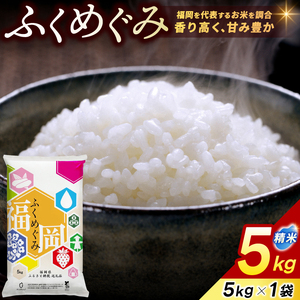 お米 5kg ★訳あり★ ふくめぐみ 精米 a0819