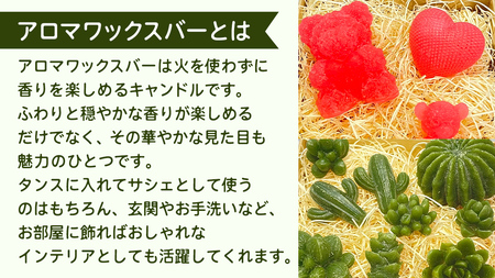 アロマワックスバー サボテンファミリー 9点セット ( ホーウッド / 緑色 )