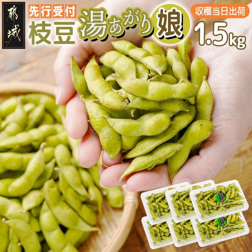【ふるさと納税】【先行予約！】都城産枝豆(湯あがり娘)1.5kg(250g×6P) - 都城産枝豆 湯あがり娘 1.5kg おつまみ 産地直送 朝どれ 冷蔵配送 えだまめ 国産 生 小分け 先行受付 送料無料 11-B402-7 【宮崎県都城市は2年連続ふるさと納税日本一！】
