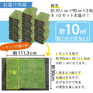 天然芝＜野芝＞10平米! 芝 芝生 天然 天然芝 DIY グランドカバー ガーデニング 野芝  鹿児島県 お庭 c5-030