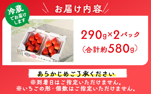 いちご（とちあいか） 290g×2パック 580g以上｜先行予約 数量限定 栃木県 果物 くだもの フルーツ 苺 ※2025年11月下旬頃～2026年3月下旬頃に順次発送予定