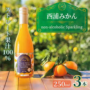 西浦 みかん スパークリング ジュース ストレート 果汁 100％ 250ml×3本 蜜柑 贈答用 静岡 沼津