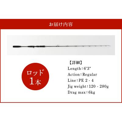 ふるさと納税 碧南市 ロッド EJシリーズ 電動ジギング専用ロッド EJ632-QC　H153-120 |  | 03