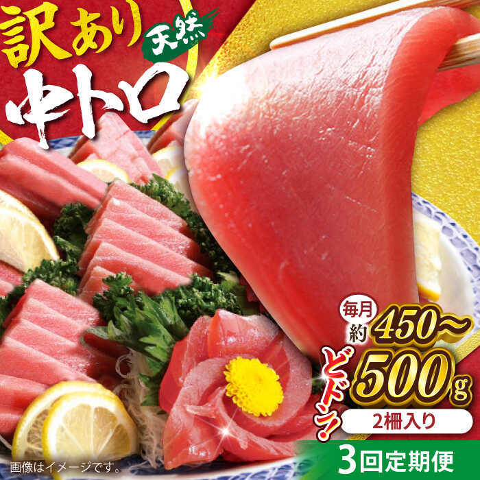 【ふるさと納税】【全3回定期便】【訳あり】天然 まぐろ 中トロ メバチ （約450〜500g（2柵入り））鮪 マグロ まぐろ 魚 刺身 中とろ さしみ 横須賀 【横須賀商工会議所 おもてなしギフト事務局（本まぐろ直売所 横須賀本店）】[AKAK091]