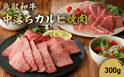 鳥取和牛 中落ちカルビ焼肉 300g 国産 ブランド牛 牛肉 焼き肉 焼肉 和牛 黒毛和牛 肉 カルビ バラ BBQ 冷凍 鳥取県 倉吉市  KR477