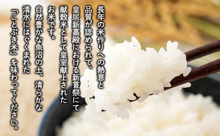 令和7年産 皇室献上 ことぶき米（精米）4kg（2kg×2） お米 