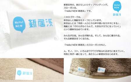 【年末限定】今治タオルブランド認定 「速乾」シリーズ お試しセット バスタオル4枚 フェイスタオル4枚 抗菌防臭ミニバスタオル2枚 タオル 合計10枚 セット （ご自宅用） 【Hello!NEWタオル