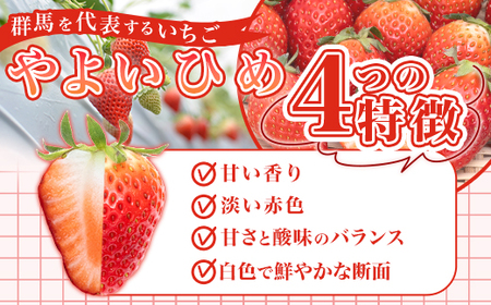 群馬県やよいひめ（いちご）約800g【３年連続金賞受賞！】※2026年12月～2027年5月にて順次発送予定