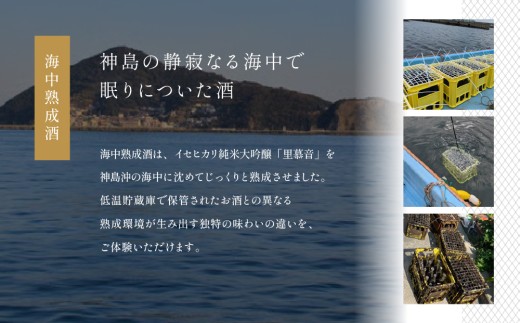 26-10 イセヒカリ海中熟成酒 純米大吟醸「里募音」500ml×1本