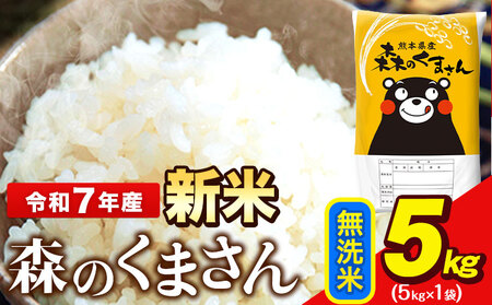  新米 米 令和7年産 森のくまさん 5kg × 1袋  無洗米 熊本県産 単一原料米 森くま《12月中旬-2月末頃出荷》送料無料