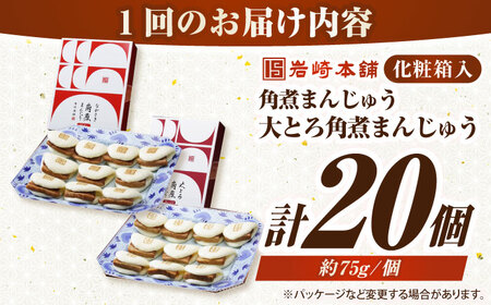 【全2回定期便】長崎角煮まんじゅう10個(箱)・大とろ角煮まんじゅう10個(箱)《壱岐市》【岩崎本舗】冷凍 豚 豚角煮 角煮饅頭 簡単調理 お取り寄せ[JHA002]