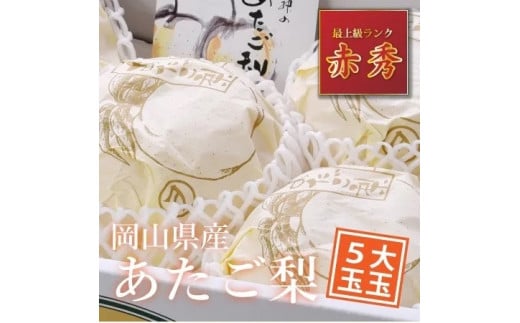 岡山県産「あたご梨」大玉5玉【2024年産先行予約】24-023-002