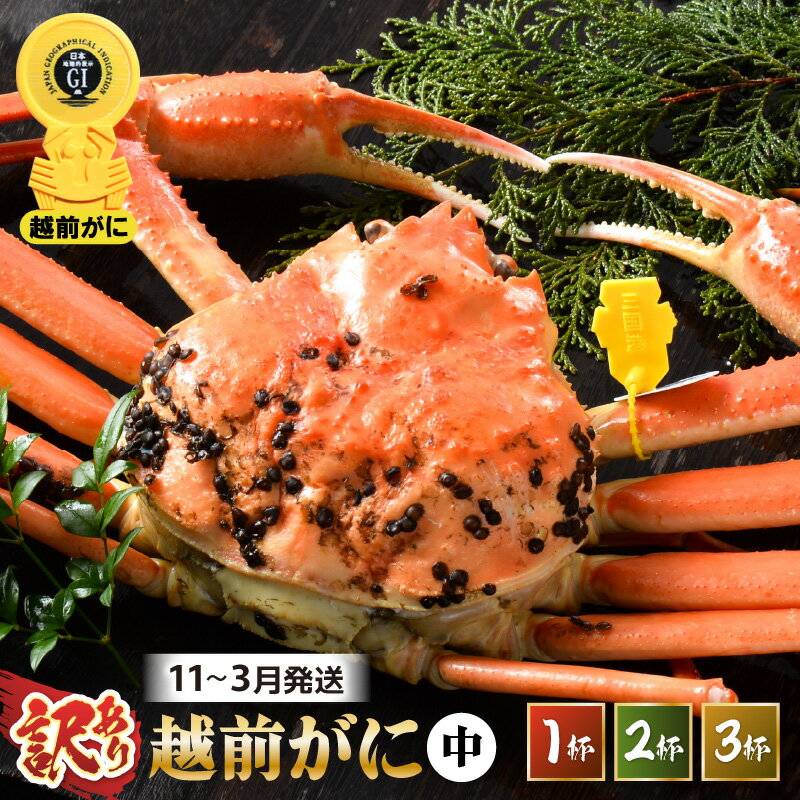 【ふるさと納税】【先行予約】【訳あり】 茹で「越前ズワイ蟹」 脚折れ 中サイズ 1〜3杯 【選べる杯数 / 発送月】【2025年11月〜2026年3月発送予定】【わけあり ワケアリ カニ かに 蟹 越前ガニ 越前蟹 ずわいがに ズワイガニ ズワイ ボイルガニ 姿 ボイル 冷蔵 国産 県産】