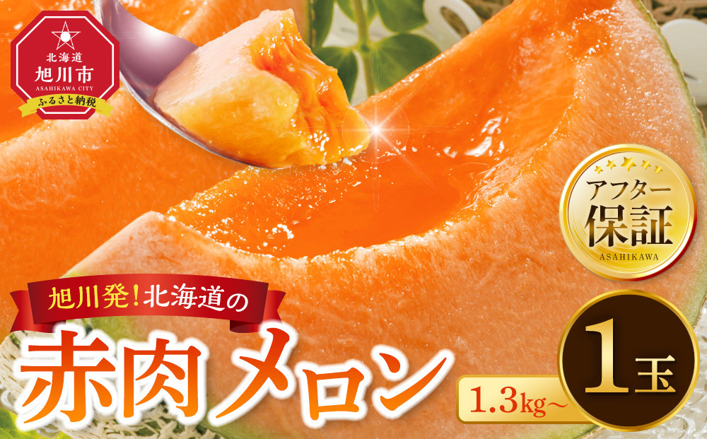 【先行予約】旭川発！北海道の赤肉メロン1玉（1玉標準 1.3kg以上）(2025年6月下旬より発送開始予定) _05230