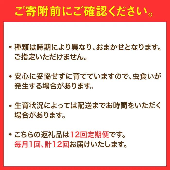 【全12回定期便】農家セレクト！特別栽培 日田の厳選食材 詰め合わせ 日田市 野菜 果物 米 産地直送 新鮮 セット[ARBR002]