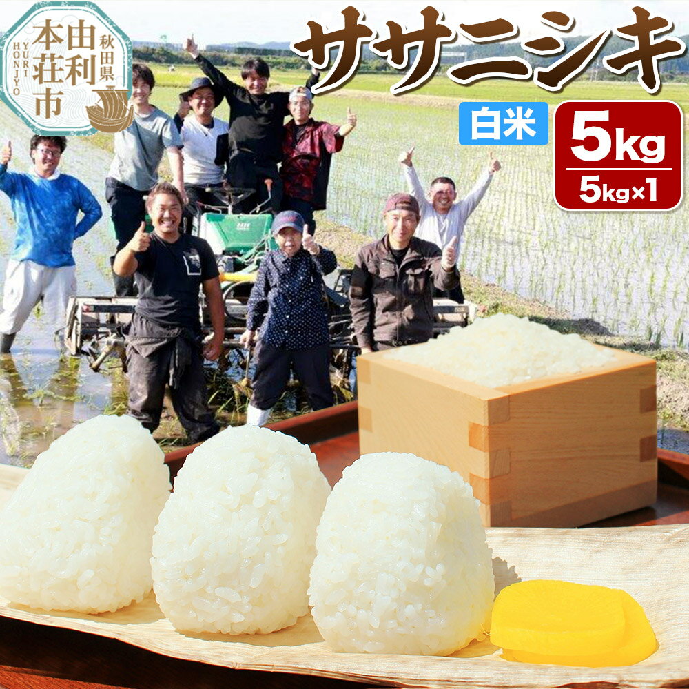 【ふるさと納税】【白米】秋田県由利本荘市産 ササニシキ 5kg（5kg×1袋）令和6年産