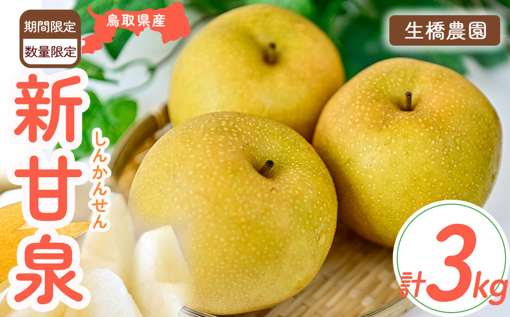 
                  新甘泉【鳥取県産】3kg(生橋農園) 鳥取 梨 3kg 果物 フルーツ 和梨 先行予約 数量限定 新甘泉 詰め合わせ 新品種
                