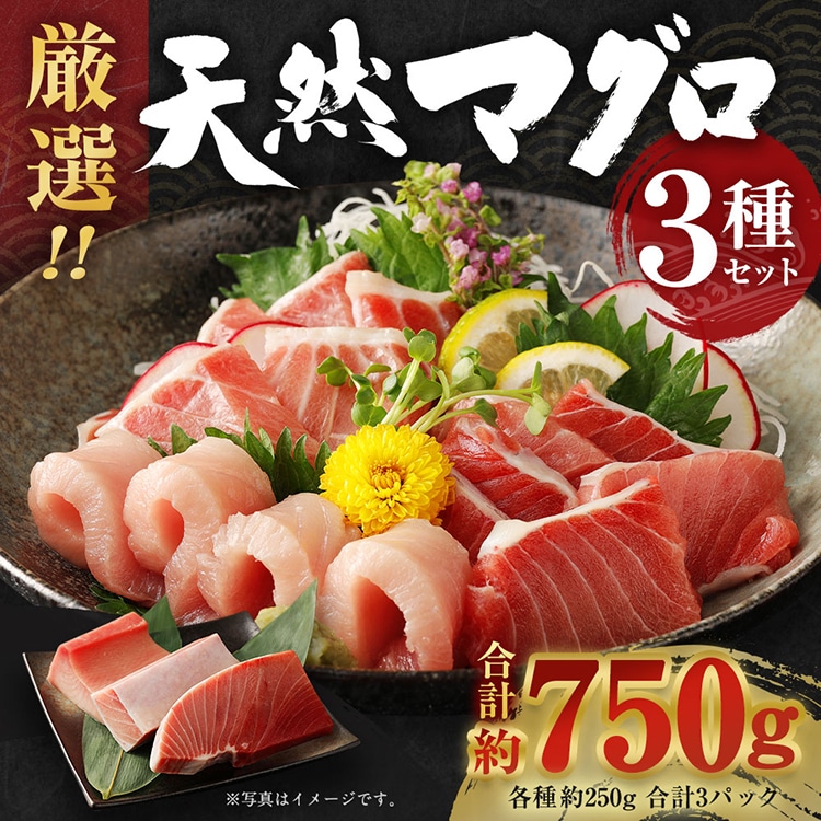 船元が直送! 厳選 天然 マグロ 3種 750g以上 | ミナミマグロ鮪250g メバチ鮪250g ビンチョウ鮪400g 南 目鉢 鬢長 セット まぐろ 食べ比べ みなみまぐろ めばちまぐろ びんちょうまぐろ ワケアリ わけあり 訳あり 刺身 さしみ 刺し身 冷凍 漬け 海鮮 丼 父の日 高知県 室戸市 [ge002]