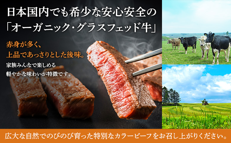 雄武産有機牛カラービーフ ひき肉（200ｇｘ３Ｐ） | 牛肉 オーガニック グラスフェッド 放牧 有機JAS 有機牛 国産牛カラービーフ ひき肉 200ｇ ３パック 600g カラービーフ 有機JAS