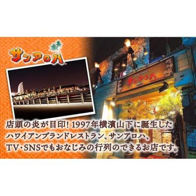 ふるさと納税 横浜市 サンアロハ「ハマカレー　ビーフ　230g×4個パック」 |  | 03