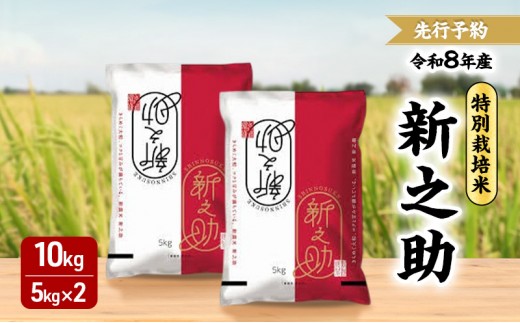 先行予約 令和8年 新潟県産新之助 特別栽培米 10kg 10キロ （5kg×2袋） 上越市 三和区神田 富永農産 有機肥料 自家製たい肥