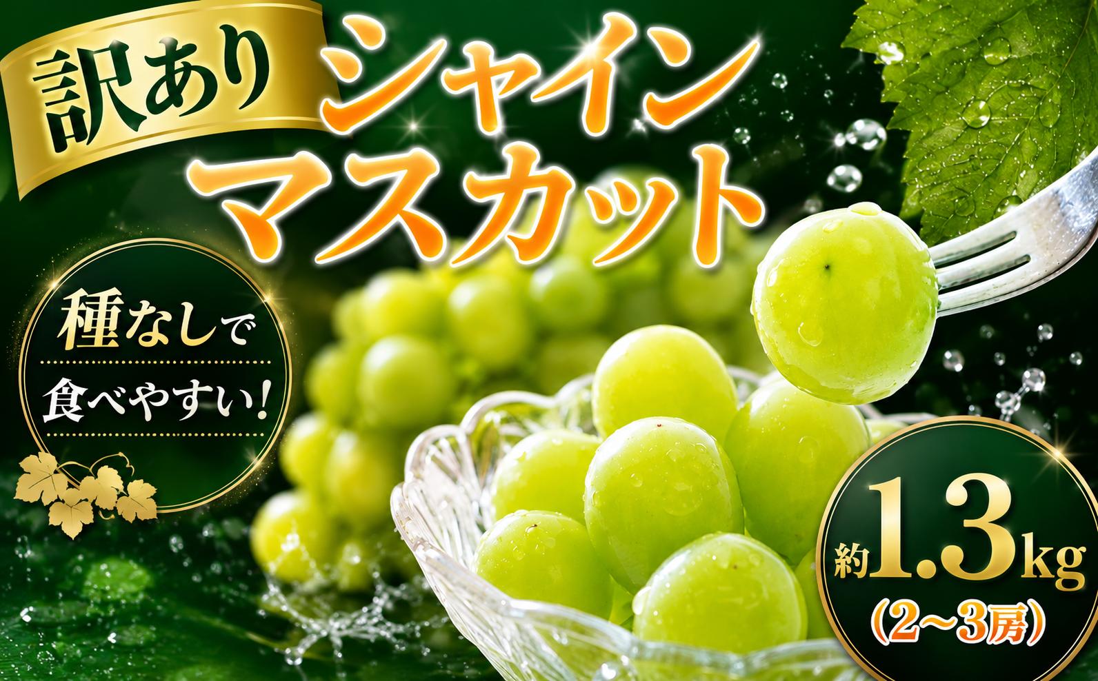 
                  シャインマスカット 【2026年8月下旬発送】約 1.3kg（2～3房） マスカット ＜菅谷ぶどう園＞ [SGY001] 千葉県 香取市 マスカット 果物 フルーツ シャインマスカット ますかっと
                