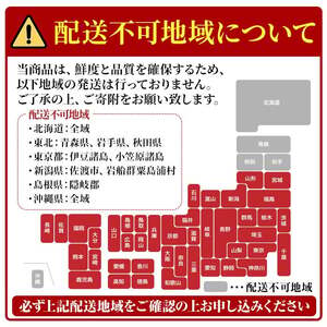 和風 おせち 一段重 1人前 予約 正月