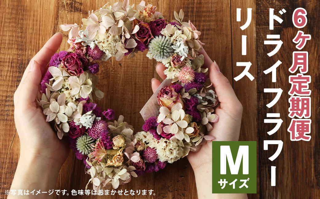 【6ヶ月定期便】ドライフラワーリース Mサイズ